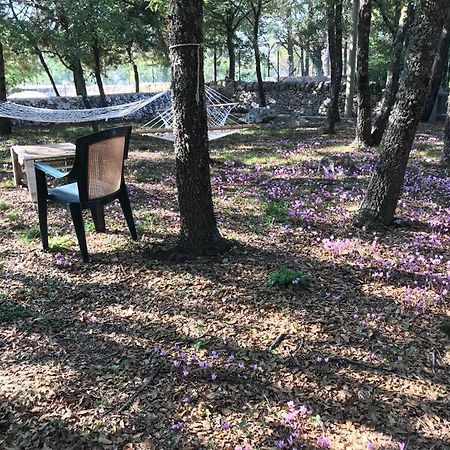 Villa Venus Woods Martina Franca Dış mekan fotoğraf