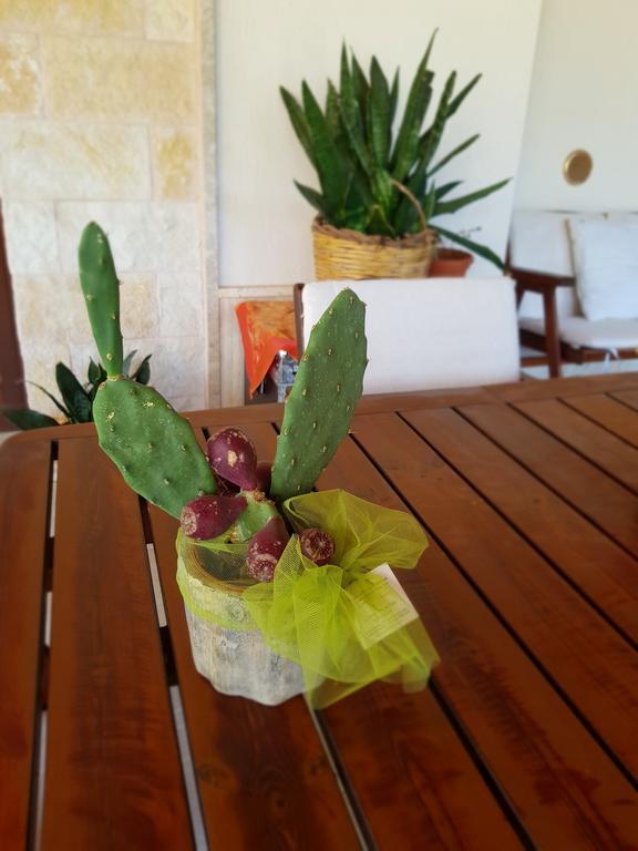 Villa Venus Woods Martina Franca Dış mekan fotoğraf