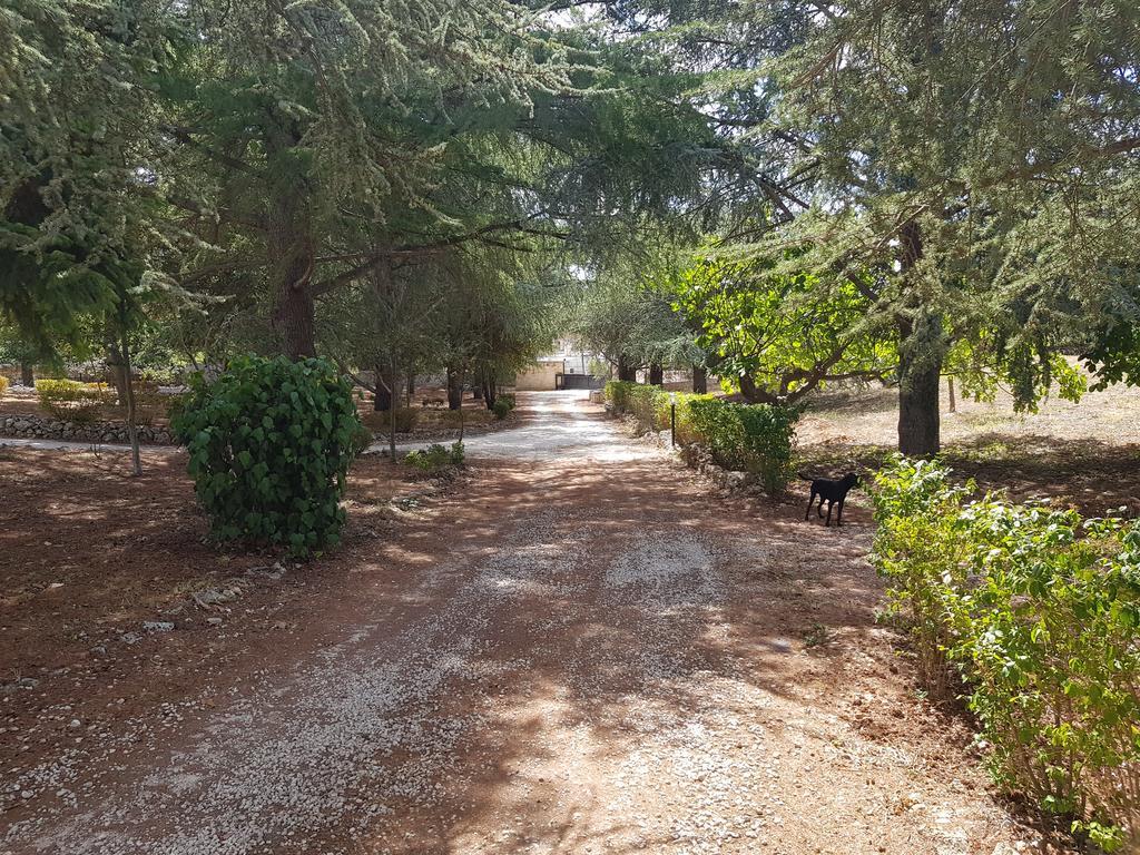 Villa Venus Woods Martina Franca Dış mekan fotoğraf