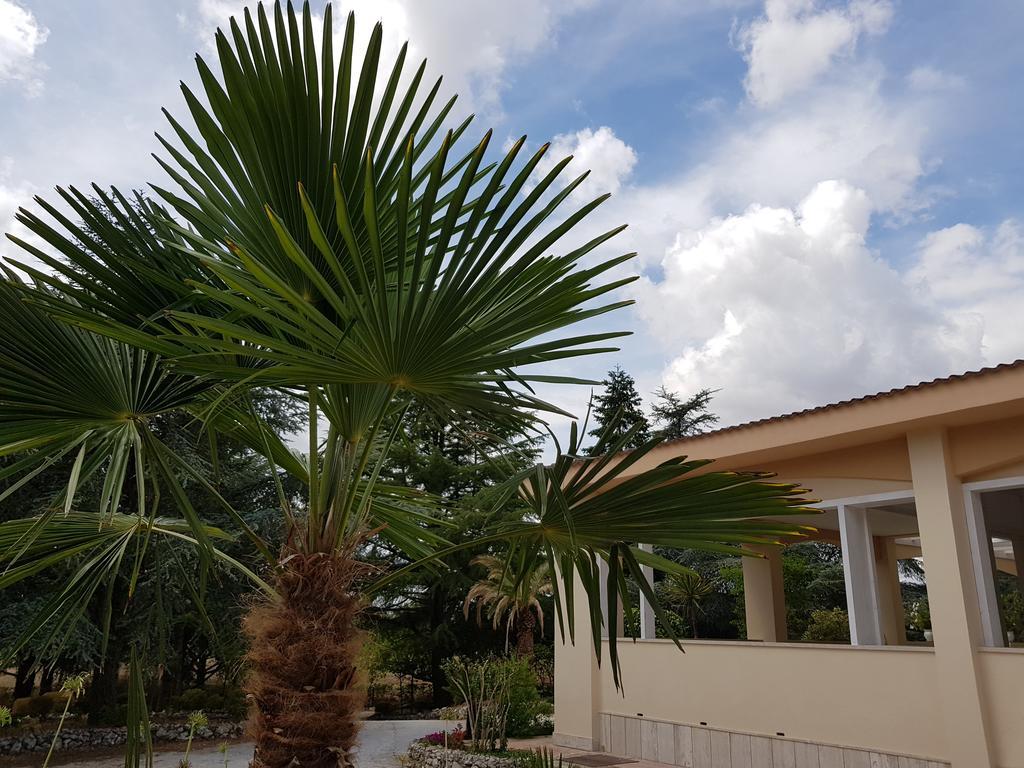 Villa Venus Woods Martina Franca Dış mekan fotoğraf