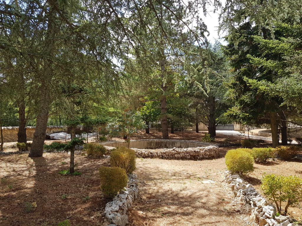 Villa Venus Woods Martina Franca Dış mekan fotoğraf