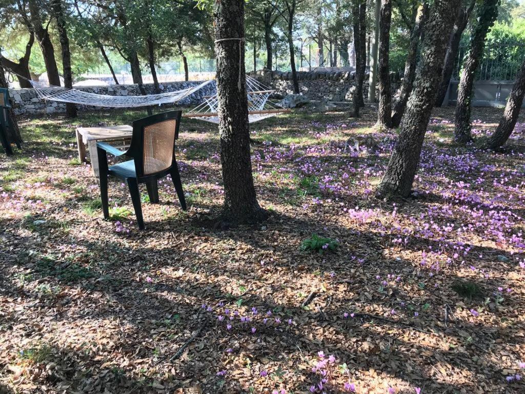 Villa Venus Woods Martina Franca Dış mekan fotoğraf